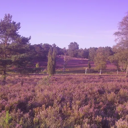 Ferienwohnung Schuur - Buchholz In Der Nordheide Eksteriør billede