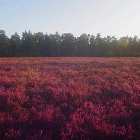 Ferienwohnung Schuur - Buchholz In Der Nordheide Eksteriør billede